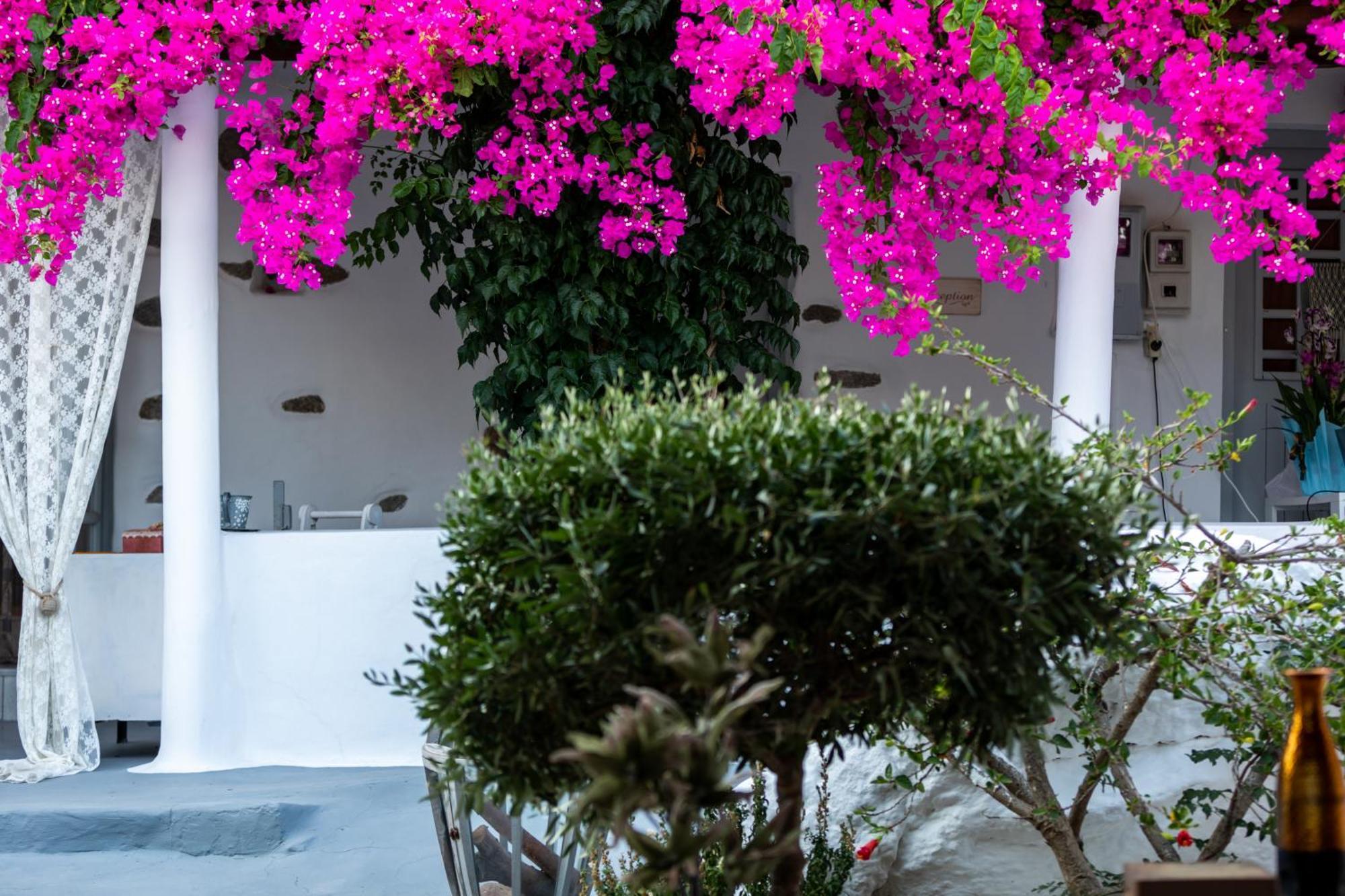 Sunrock Suites ستيليدا المظهر الخارجي الصورة